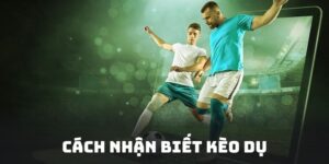 Cách Nhận Biết Kèo Dụ Chuẩn Xác - Tránh Rủi Ro Lớn