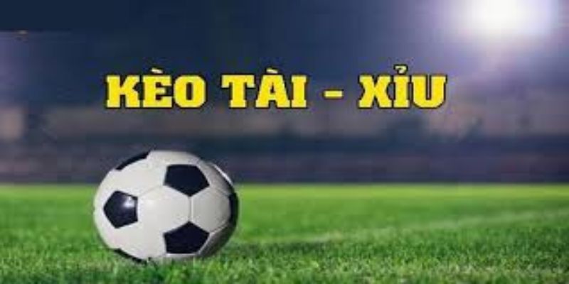 Học cách bắt kèo hiệu quả để chinh phục mọi nhà cái