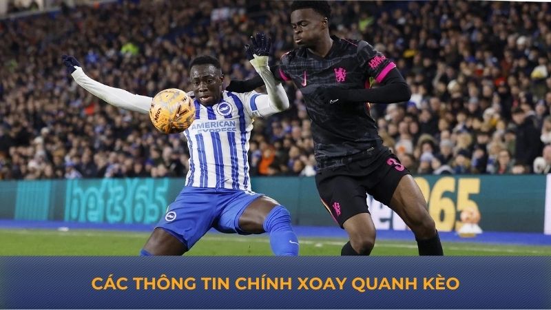 Các thông tin chính xoay quanh kèo