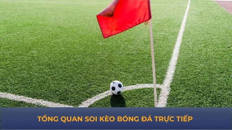 Tổng quan soi kèo bóng đá trực tiếp 