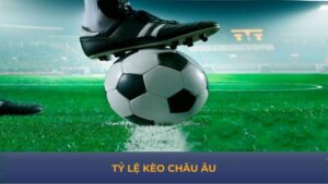 Tỷ Lệ Kèo Châu Âu - Kèo Cược An Toàn Dành Cho Người Mới