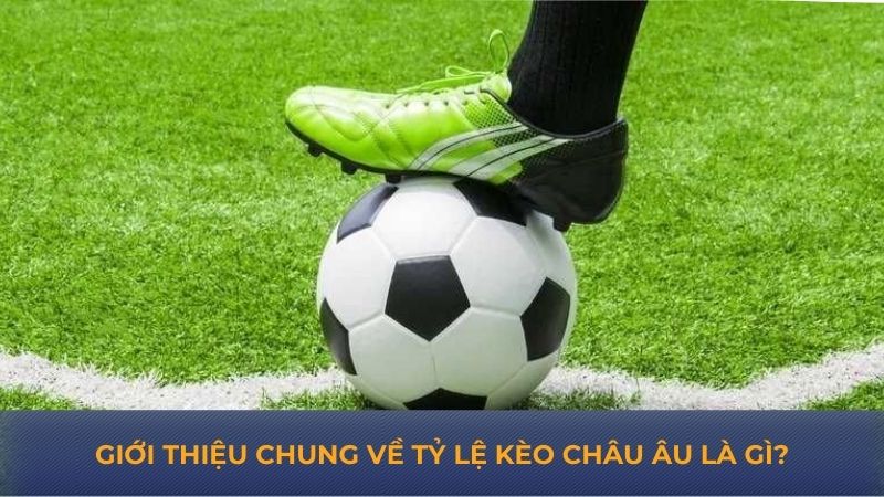 Giới thiệu chung về tỷ lệ kèo châu Âu là gì?