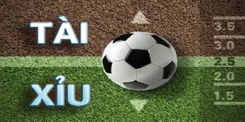 Kèo cược tài xỉu dành cho thẻ phạt
