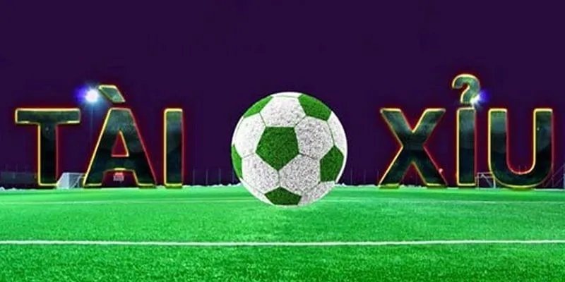 Nghiên cứu trận đấu thật kỹ khi cá cược