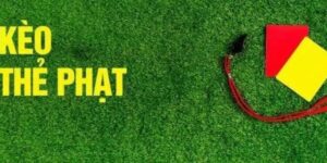 Kèo Thẻ Phạt - Chi Tiết Cách Đặt Cược Cho Các Tân Thủ