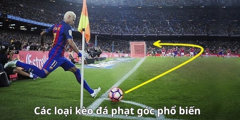 Tổng hợp những tỷ lệ cá độ góc tại nhà cái 