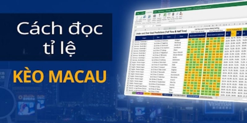 Giải mã về tỷ lệ cá cược Ma Cao đầy đủ và chi tiết nhất