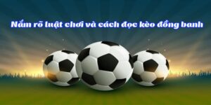 Kèo Đồng Banh Là Gì - Hướng Dẫn Cách Chơi Hiệu Quả Tại Sảnh