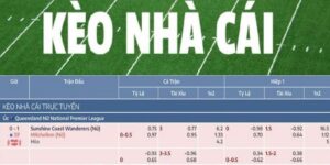 Kèo Nhà Cái Bet88 - Nắm Bắt Cơ Hội Cá Cược Đầy Tiềm Năng