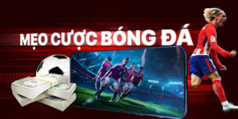 Mách bạn một số kinh nghiệm đánh kèo ngược dòng