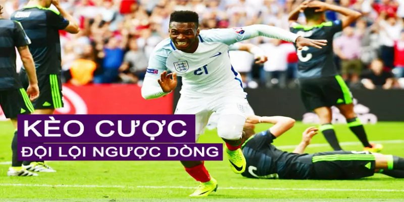 Tìm hiểu đôi nét về kèo lội ngược dòng