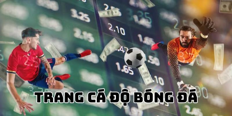 Đôi nét về trang cá cược bóng đá Arles Avignon