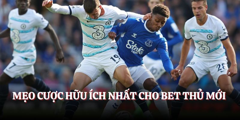 Mẹo cược hữu ích nhất cho bet thủ mới