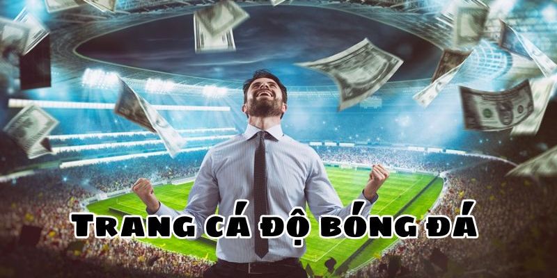 Về mục tiêu hoạt động và sứ mệnh của Arles Avignon