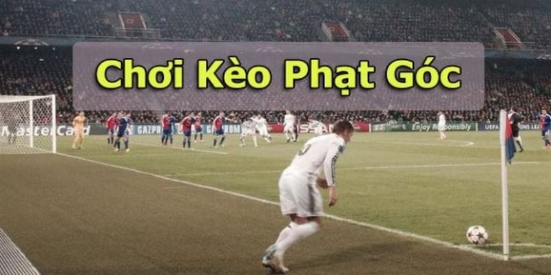 Quan sát biến động về tỷ lệ khi soi kèo phạt góc