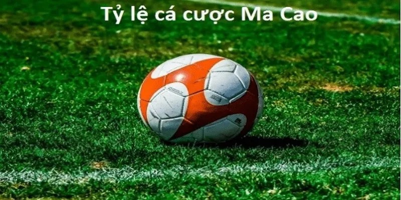 Quy tắc tính kèo cược Ma Cao chuẩn cho tân thủ