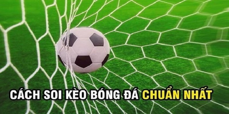 Soi kèo cá độ bóng đá cẩn thận trước khi đầu tư