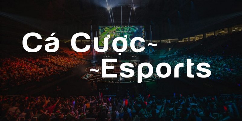 Một vài lưu ý khi soi kèo Esport cho tân thủ