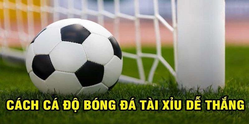 Ưu điểm của kèo tài xỉu tại FB88