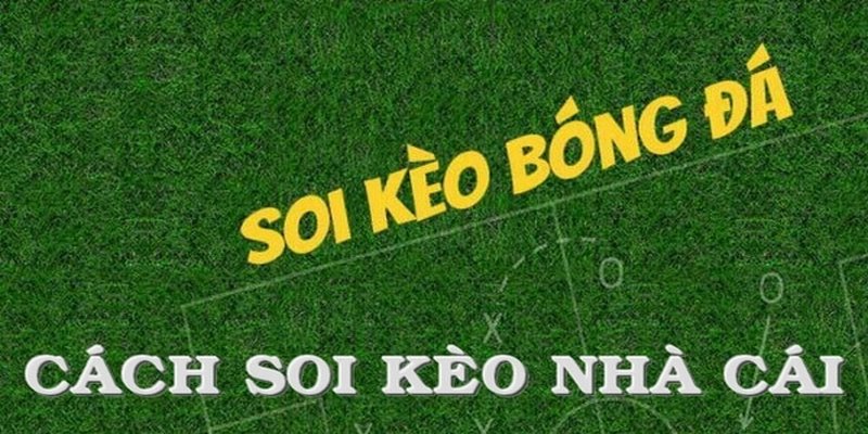 Vài nét cơ bản về dự đoán kèo trong bóng đá