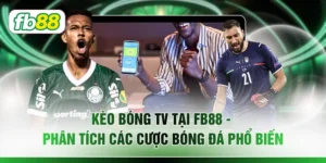 Kèo Bóng Tv Tại FB88 – Phân Tích Các Cược Bóng Đá Phổ Biến