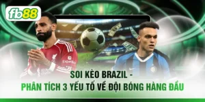Soi Kèo Brazil - Phân Tích 3 Yếu Tố Về Đội Bóng Hàng Đầu