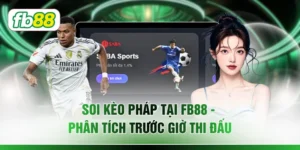 Soi Kèo Pháp Tại FB88 – Phân Tích Trước Giờ Thi Đấu