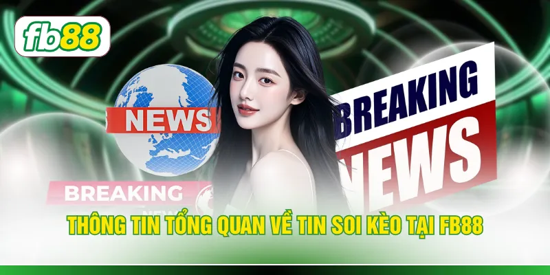 Thông tin tổng quan về tin soi kèo tại Fb88