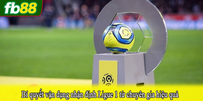 Bí quyết vận dụng nhận định Ligue 1 từ chuyên gia hiệu quả