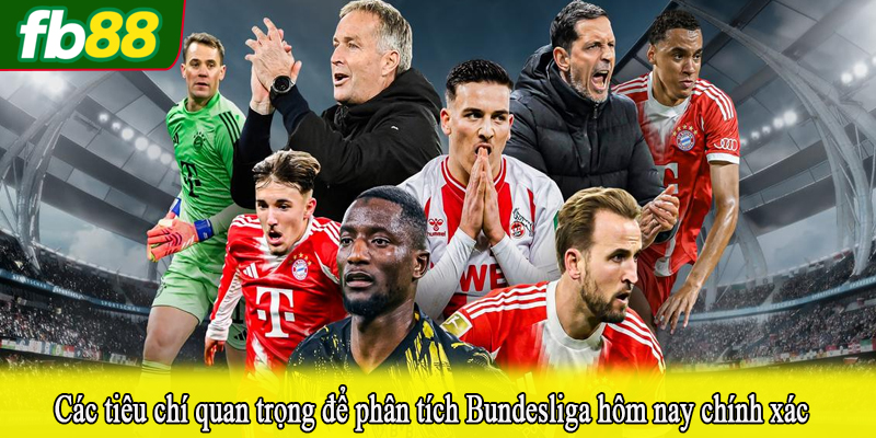 Các tiêu chí quan trọng để phân tích Bundesliga hôm nay chính xác