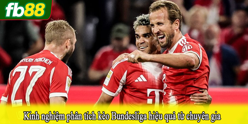 Kinh nghiệm phân tích kèo Bundesliga hiệu quả từ chuyên gia