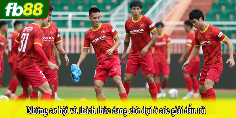 Những cơ hội và thách thức đang chờ đợi ở các giải đấu tới
