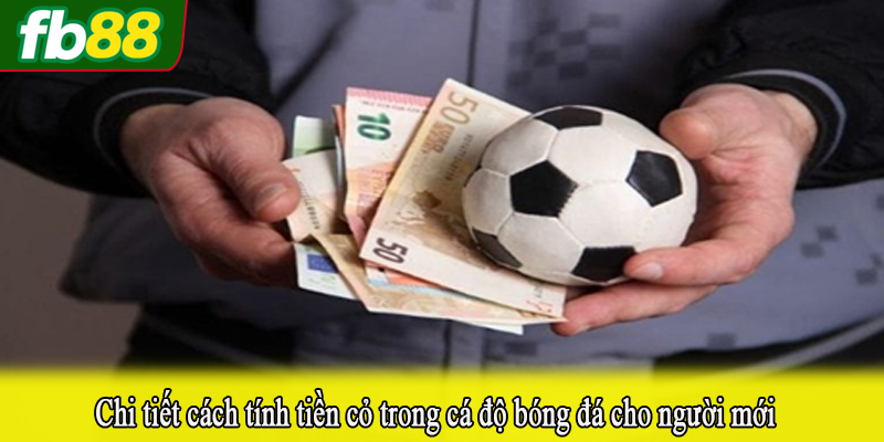 Chi tiết cách tính tiền cỏ trong cá độ bóng đá cho người mới