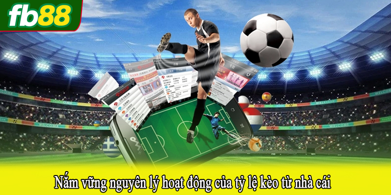 Nắm vững nguyên lý hoạt động của tỷ lệ kèo từ nhà cái