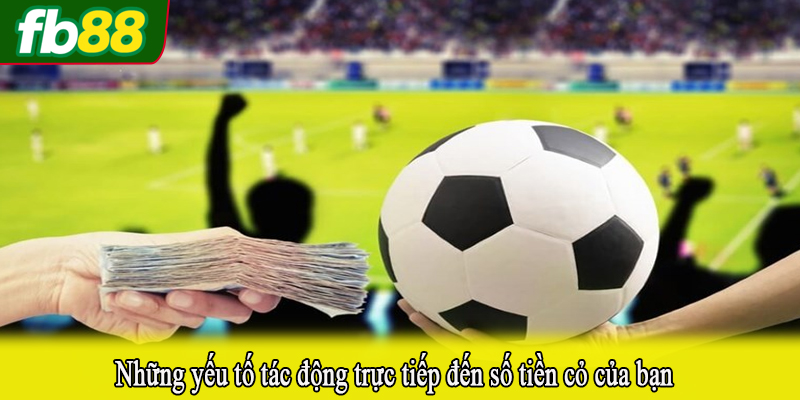 Những yếu tố tác động trực tiếp đến số tiền cỏ của bạn