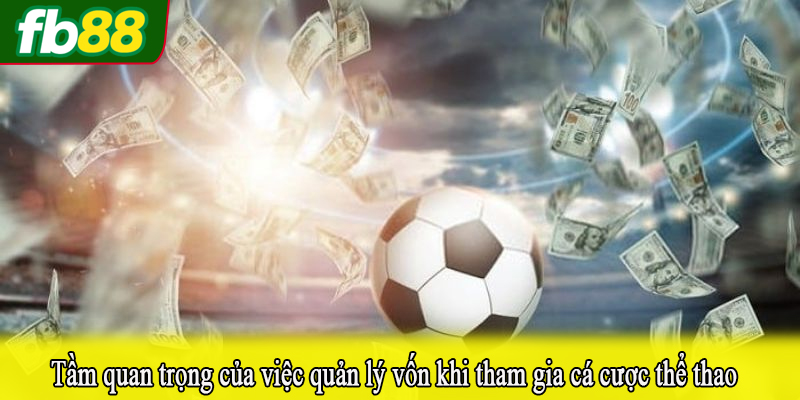Tầm quan trọng của việc quản lý vốn khi tham gia cá cược thể thao