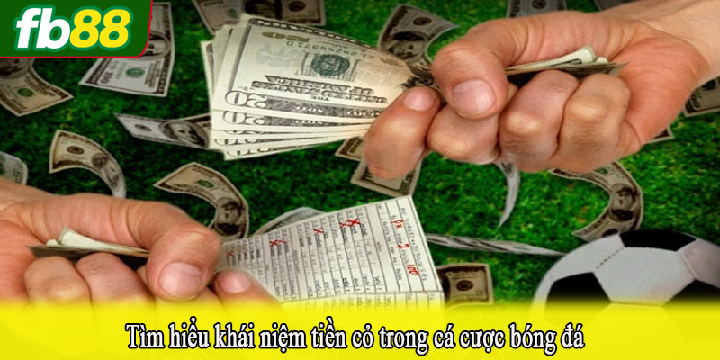 Tìm hiểu khái niệm tiền cỏ trong cá cược bóng đá