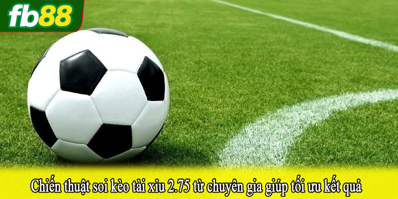 Chiến thuật soi kèo tài xỉu 2.75 từ chuyên gia giúp tối ưu kết quả