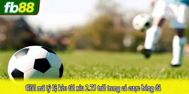 Giải mã tỷ lệ kèo tài xỉu 2.75 trái trong cá cược bóng đá