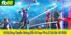 cá độ bóng chuyền