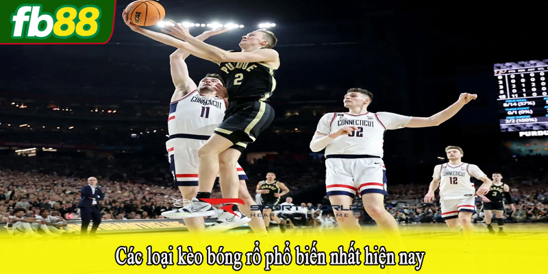 Các loại kèo bóng rổ phổ biến nhất hiện nay