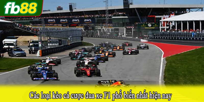 Các loại kèo cá cược đua xe F1 phổ biến nhất hiện nay