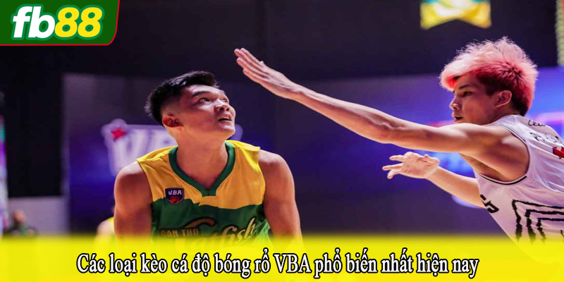 Các loại kèo cá độ bóng rổ VBA phổ biến nhất hiện nay