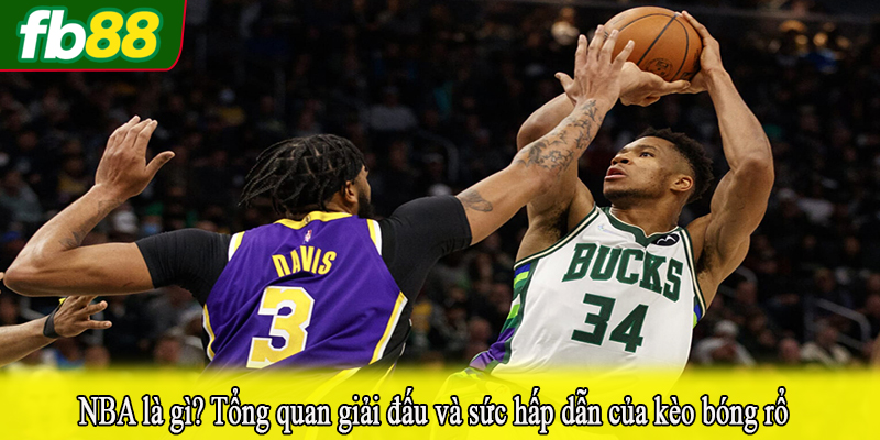 NBA là gì? Tổng quan giải đấu và sức hấp dẫn của kèo bóng rổ