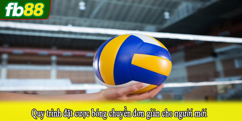 Quy trình đặt cược bóng chuyền đơn giản cho người mới