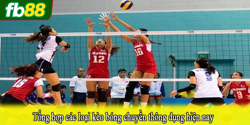 Tổng hợp các loại kèo bóng chuyền thông dụng hiện nay